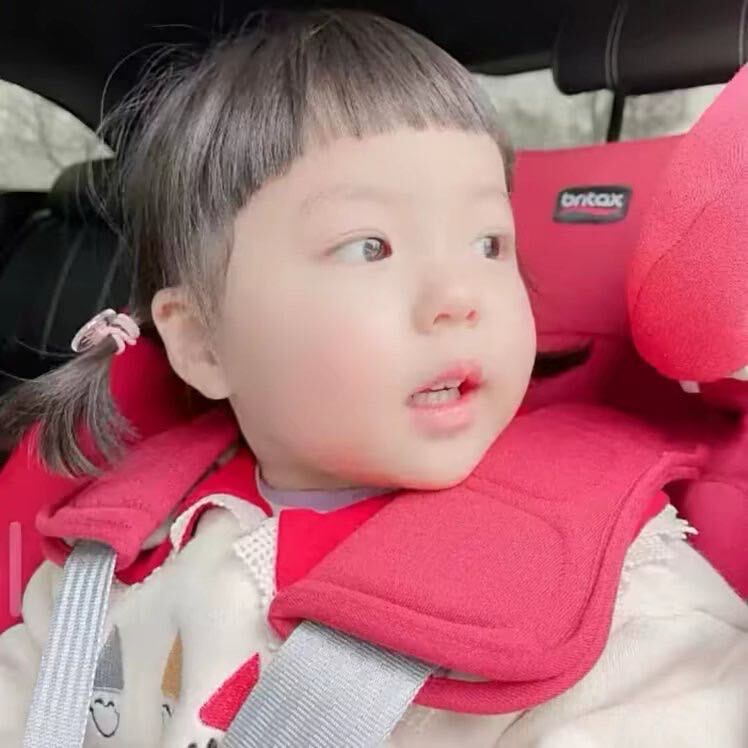 小缘导航头像